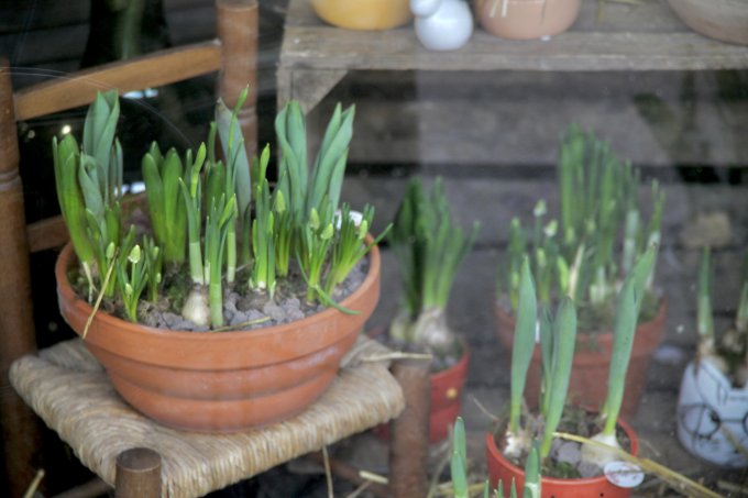 Un air de printemps photo 9